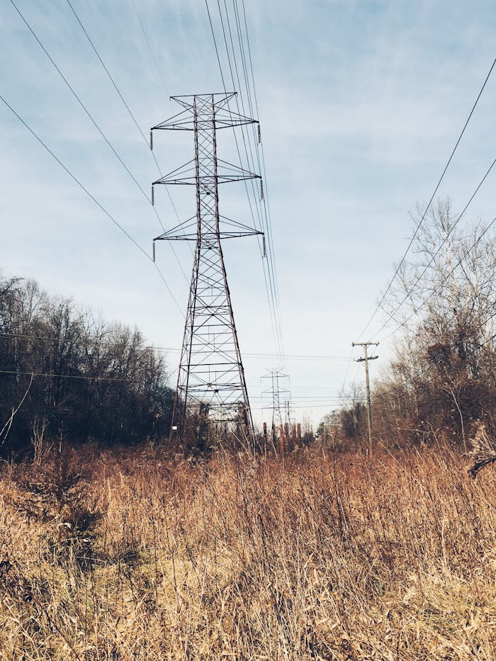 services-04 Tall electrical towers and lines spanning a winter landscape beneath a clear sky.